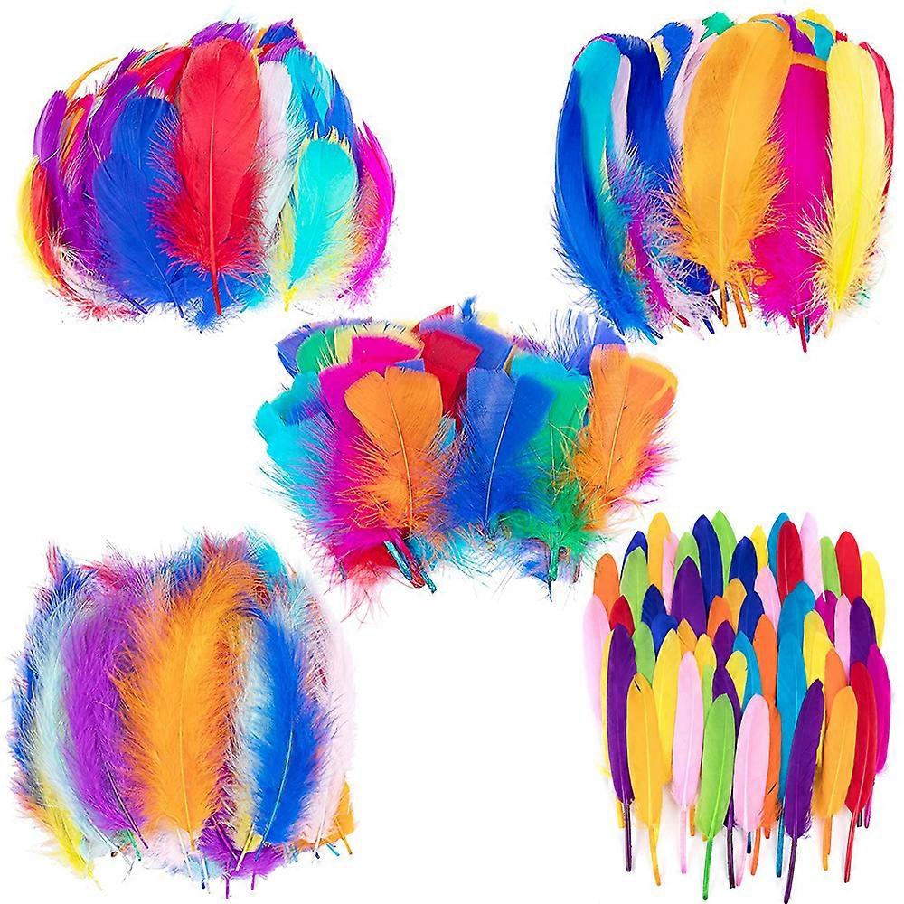 Natural Feathers For Feather Jewelry Making, Assorted Colors Craft Feathers In Multicolor Offer A Vast Array Of Possibilities For Diy Projects,
