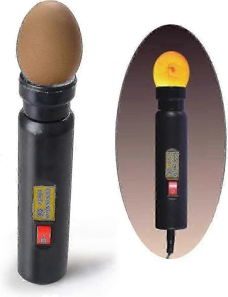 Intense LED chicken egg tester for use with incubators monitoring cutter eggs