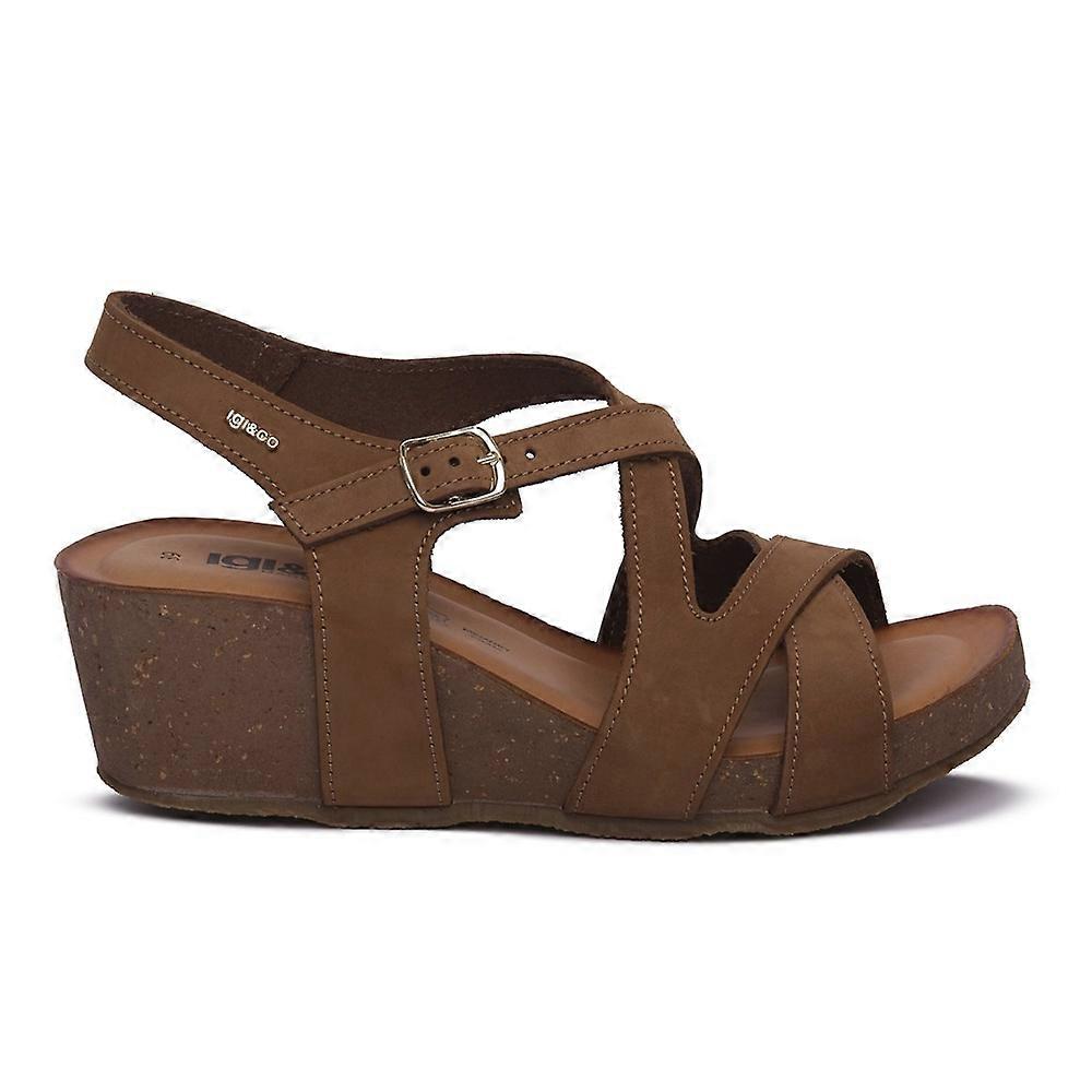 Shoes IGI&CO 7699422