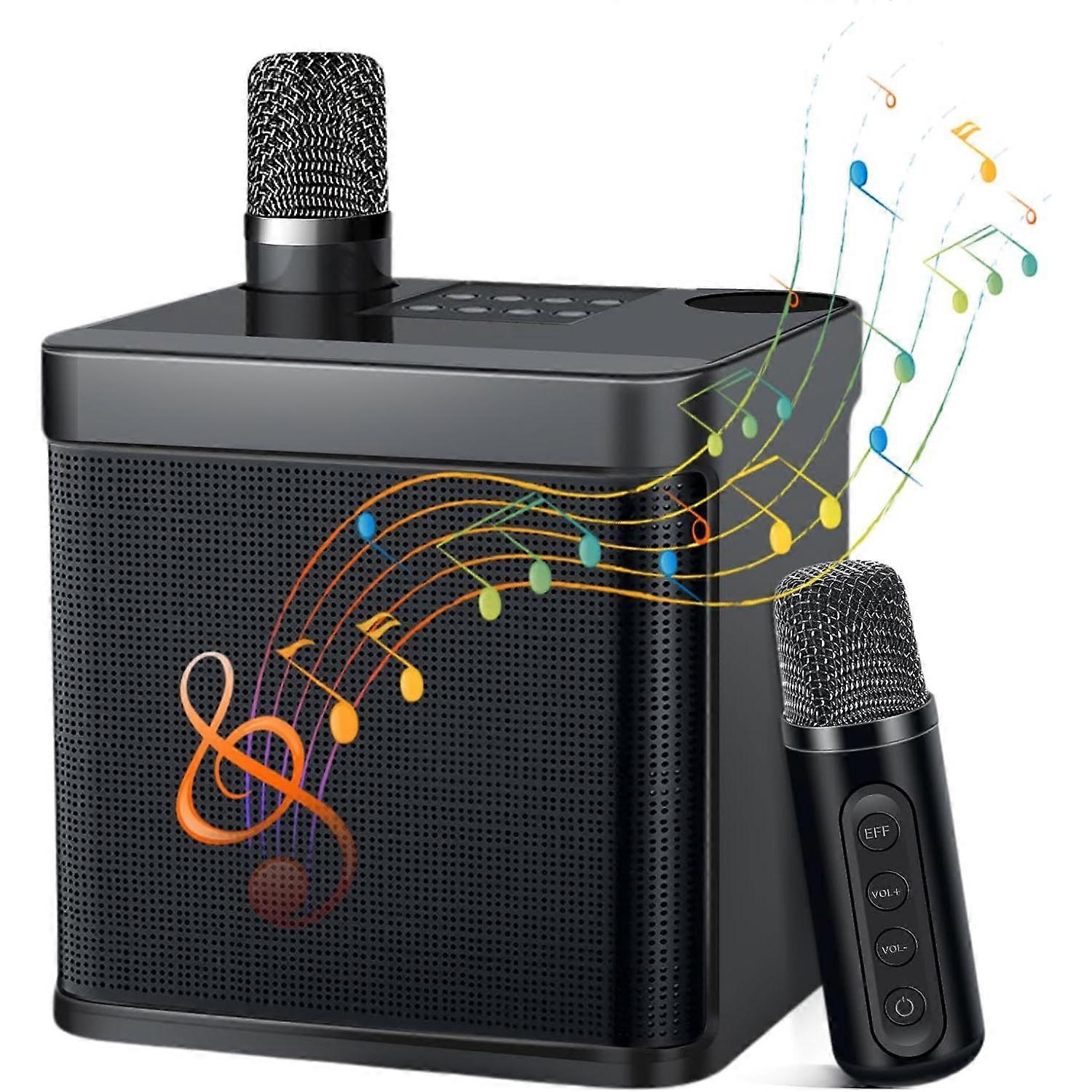 Karaoke Machine with 2 Wireless Microphones and Bluetooth Speaker