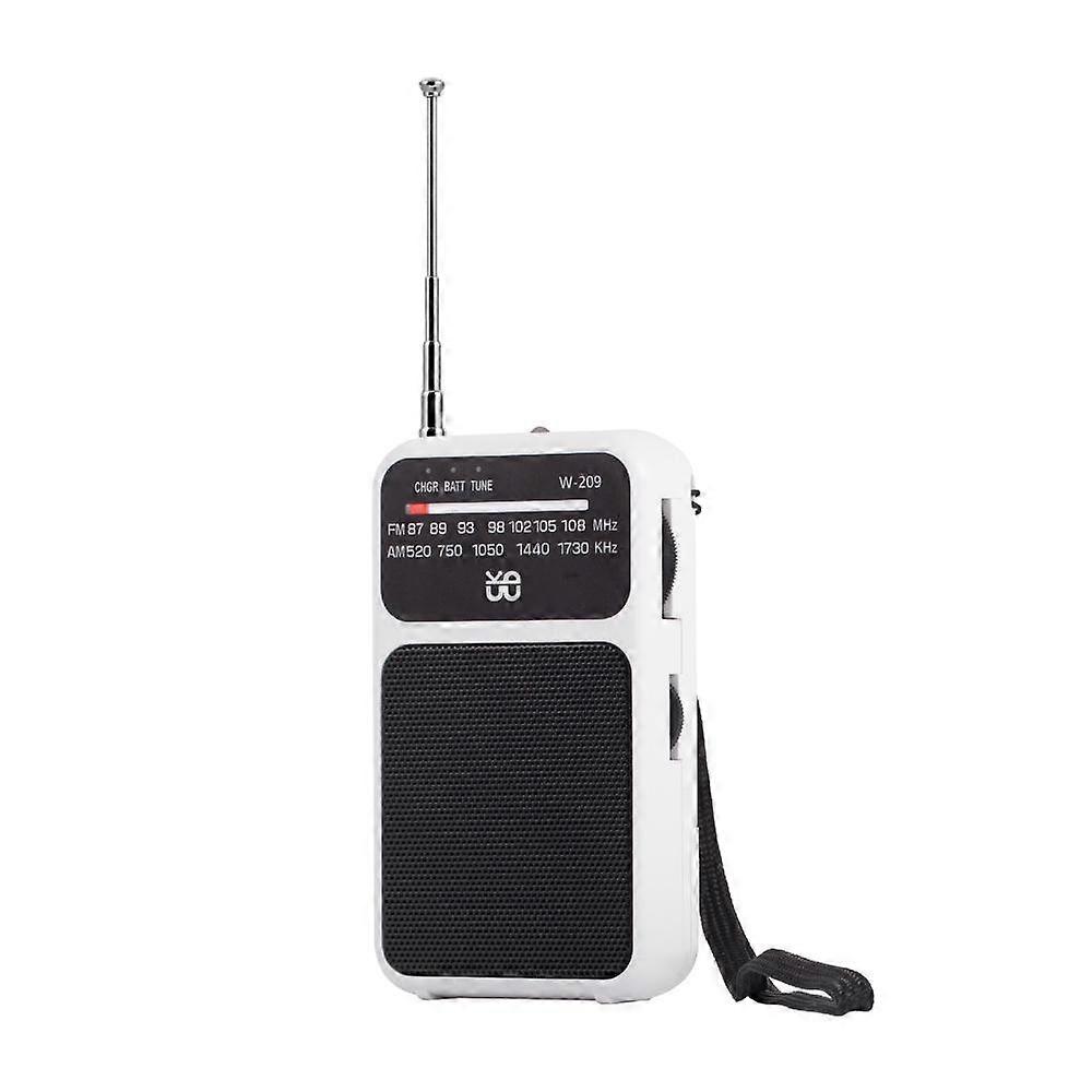 W-209 Mini Portable Dual-mode Powered Pointer FM Radio