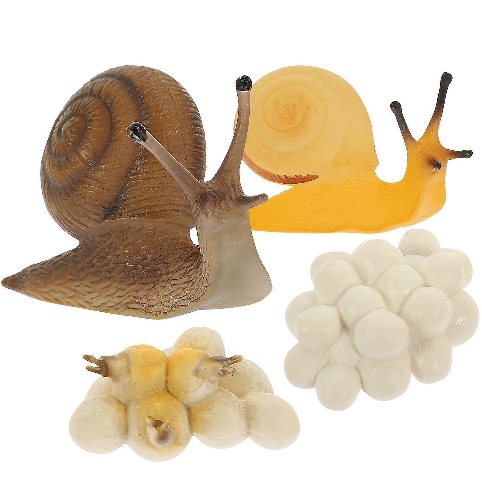 Snail Growth Cycle Toys for Kids Made of PVC Safe and Durable Vivid Realistic Models Assorted Color