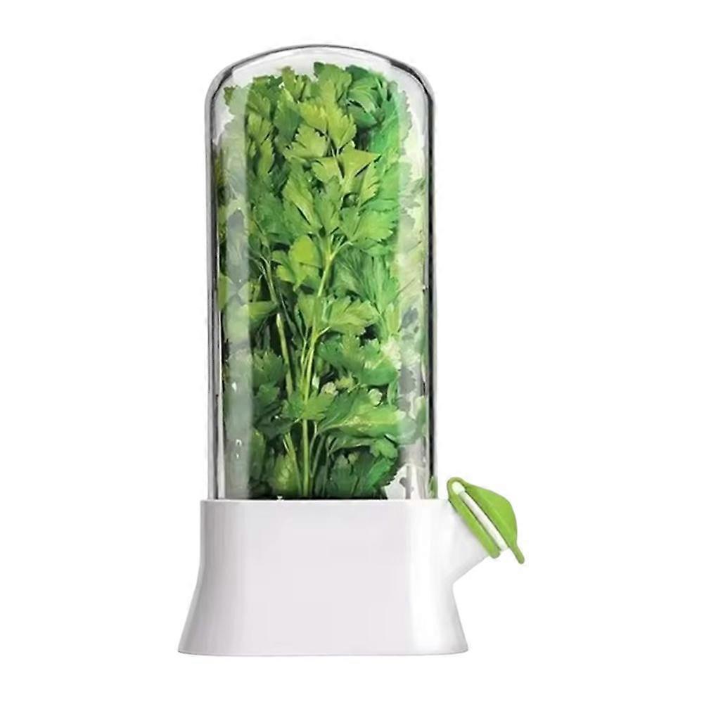 Herb and Vegetable Storage Box Keep Fresh Herb Keeper Storage Container