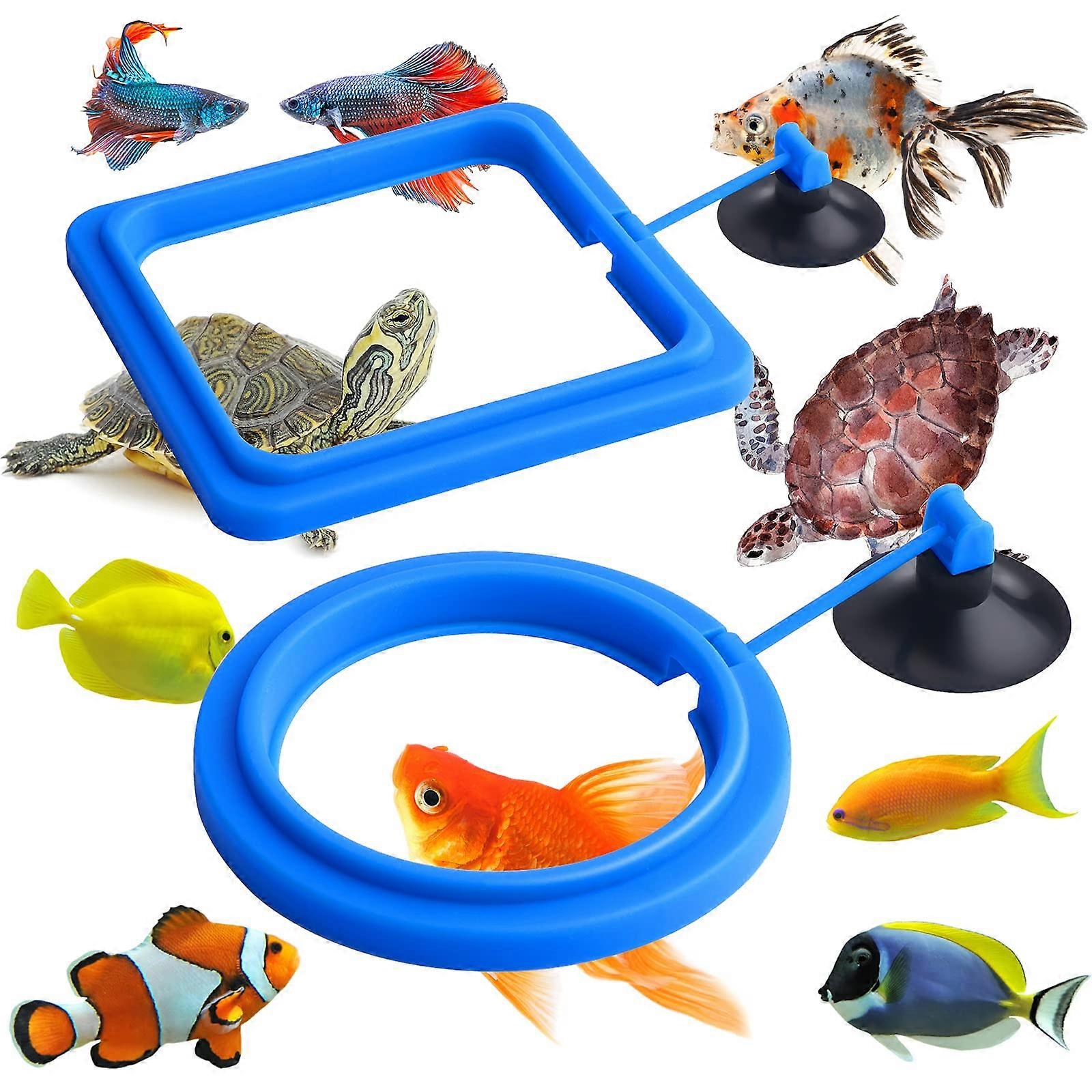 Fish Feeder Ring, 2 Pieces Fish Feeder for Aquarium, Fish Turtle, Accessories for Guppy, Bettas, Goldfish, Turtle (Blue)