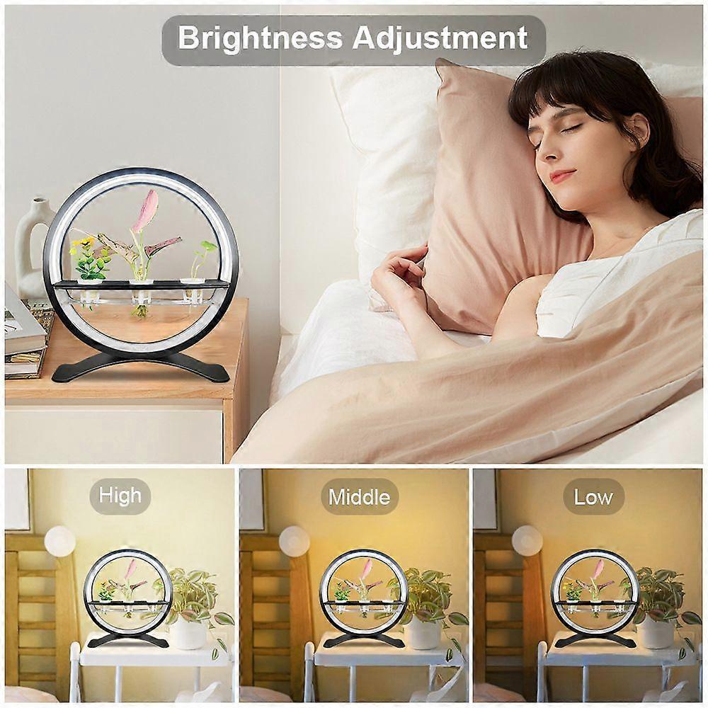 Water Feature Indoor with Light Controller LED Ring Lights Tabletop Ornament 3/9/12H Timer RGB Full Spectrum Hydroponics Waterscape Decorative Lights 