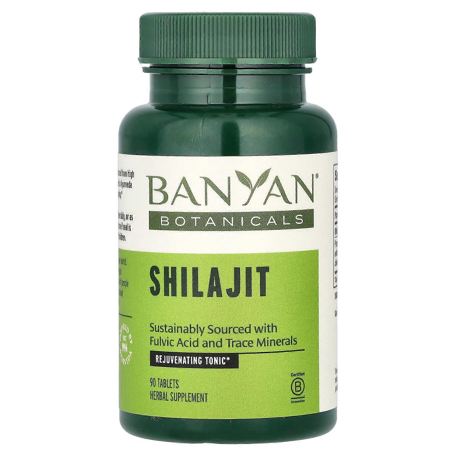 Shilajit, 90 Tablets