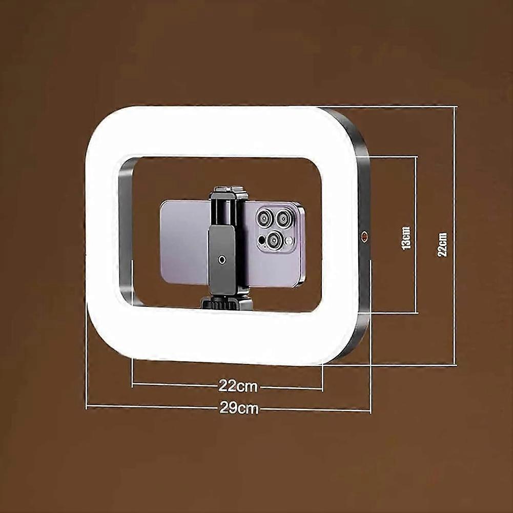 Rechargeable Selfie Portable Ring Light,Handheld Ring Light for Phone Camera,for Live Streaming/Vlogging/Makeup