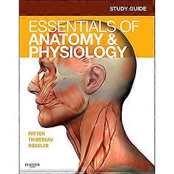 Studienleitfaden für Grundlagen der Anatomie & Physiologie