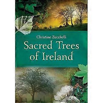 Hellige trær i Irland
