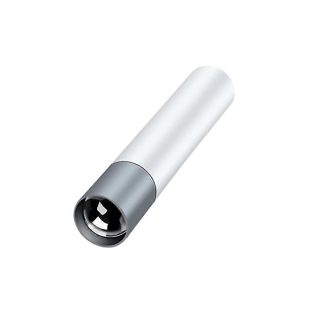 Super Bright Mini LED Bulb Pocket Torches Small Keyring Torch Flashlight