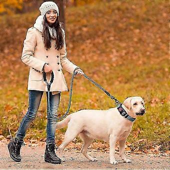 Rope Dog Leash, Nylon Dog Leash with Soft Padded Handle and Reflective Threads, 150cm x 1.2cm, Blue