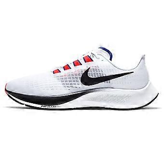 Nike Air Zoom Pegasus 37 White Concord DD8348-100