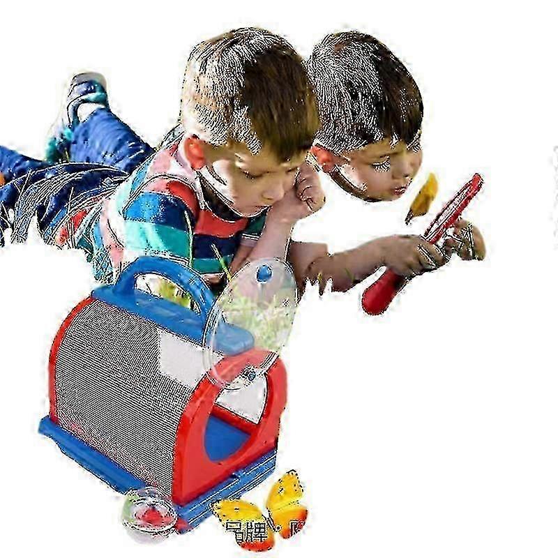 Insect Observation Experiment Box