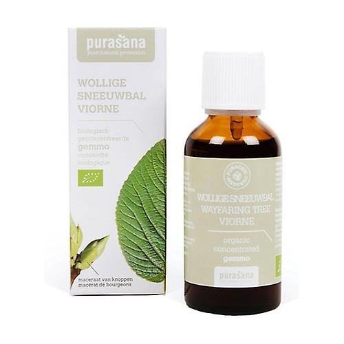 Viorne 50 ml