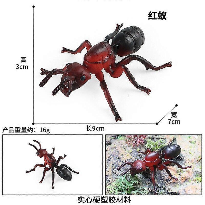 Simulation Solid Insect Animal Model Red Ant Ant Cognitive Toy Scene Decoration