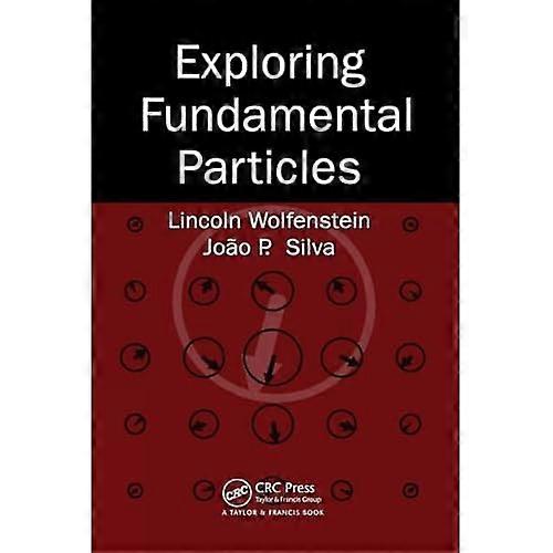 Exploring Fundamental Particles