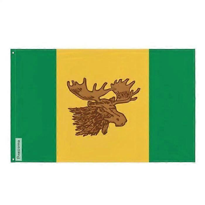 Flag - Moose Jaw - 160 x 240 cm - Polyester - Double-sided printing - Iron eyelets