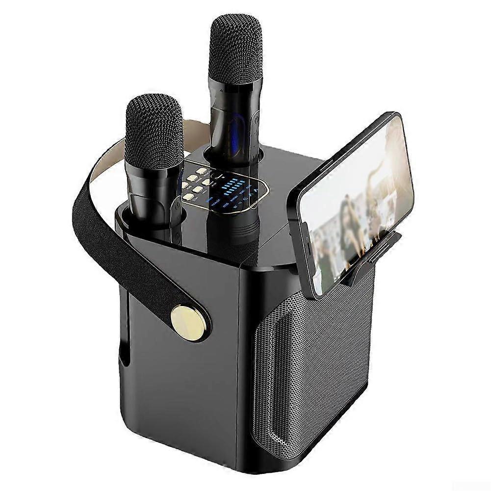 Karaoke Machine with Deep Bass and Powerful Sound, 2 Wireless Microphones, Bluetooth Compatible for Home and Outdoor Events (Black)