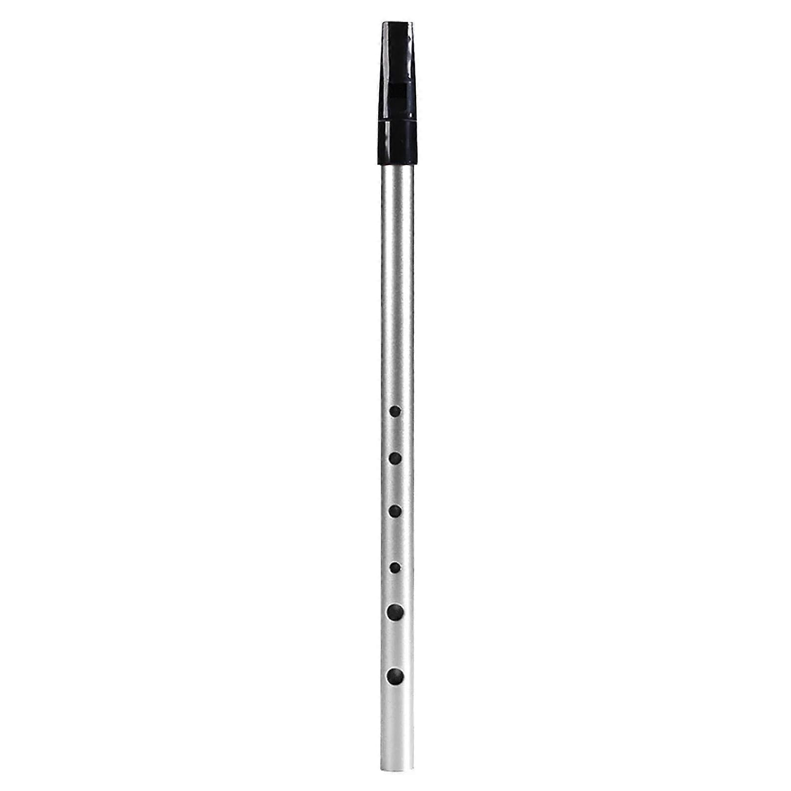 C key 6hole whistle metal flute wind instrument suitable for beginners advanced experts 6 colors beginner bamboo flute (Silver)