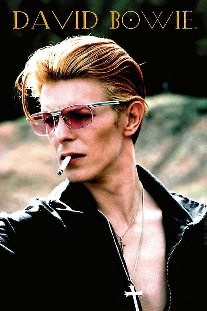 Rompecabezas DAVID BOWIE REBELDE G0068