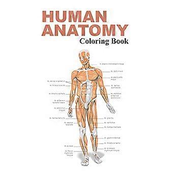 Malbuch zur menschlichen Anatomie: Das Anatomie-Malbuch