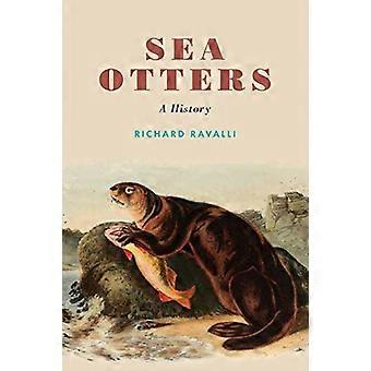 Seeotter: eine Geschichte