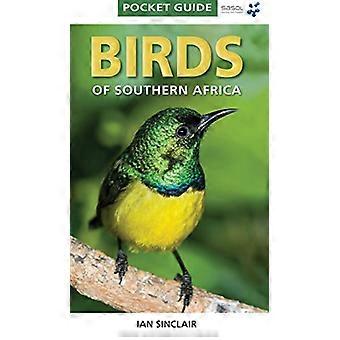 Pocket Guide Birds of Southern Africa