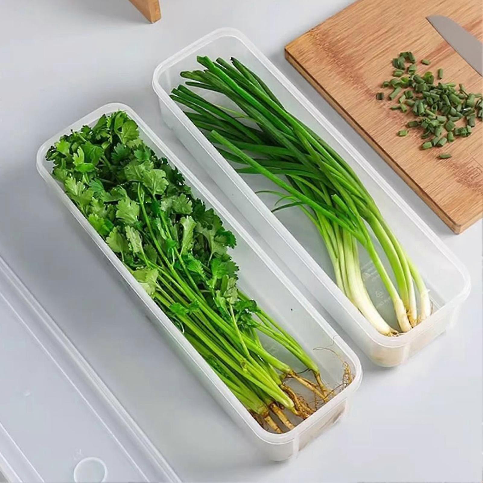 Freshness-Preserving Fridge Storage Box