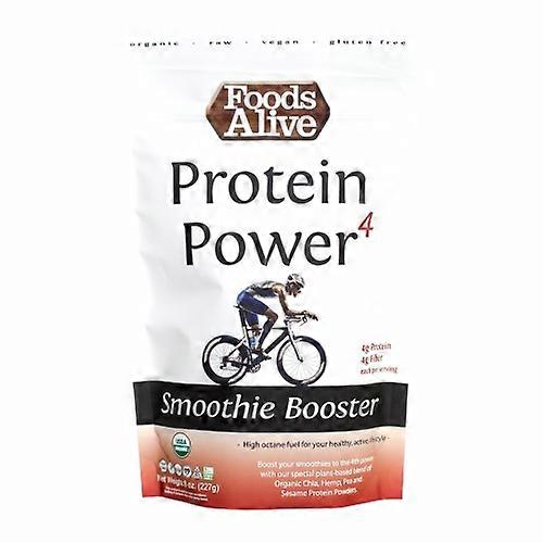 Foods Alive Organic Protein Power 4, 8 Oz (Pack of 1)
