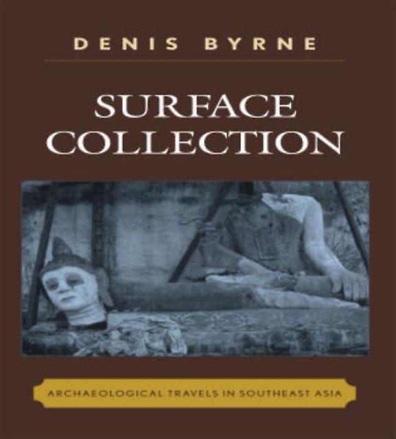 Surface Collection by Denis Byrne Paperback Book