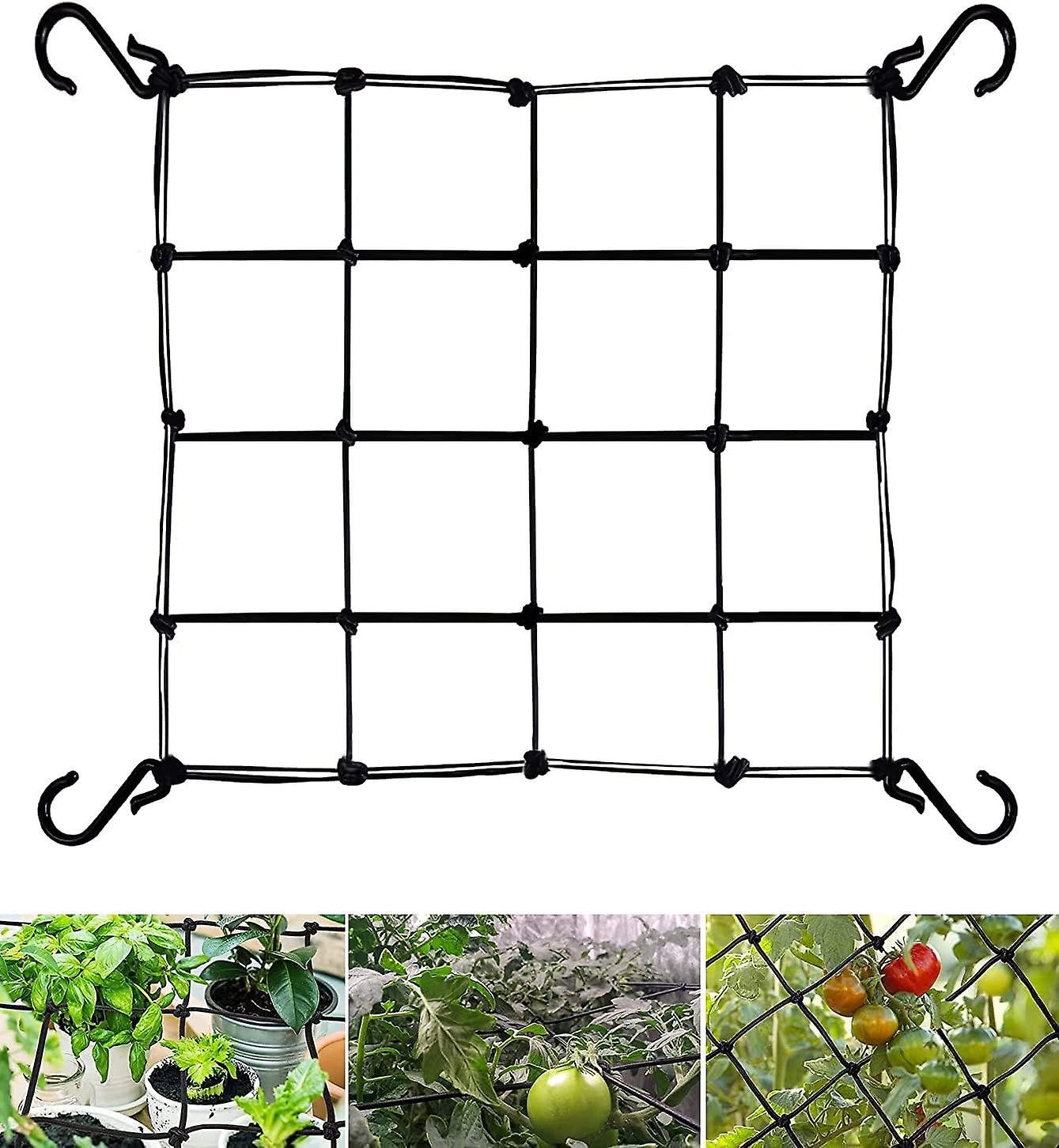 Elastiskt nät 60 x 60 cm växtstöd rullnät för plantering t