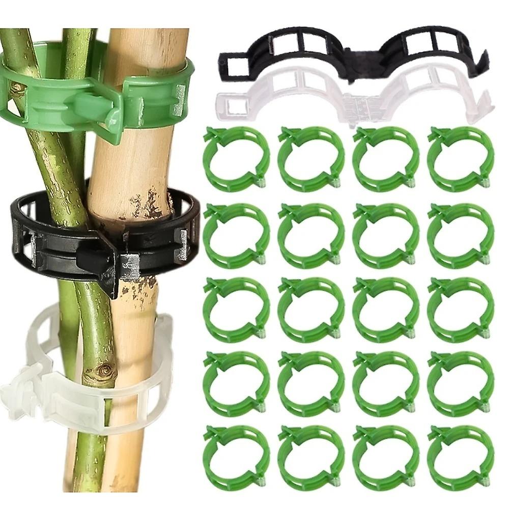 Växtklämmor för Plantstöd/Spaljé 100-pack