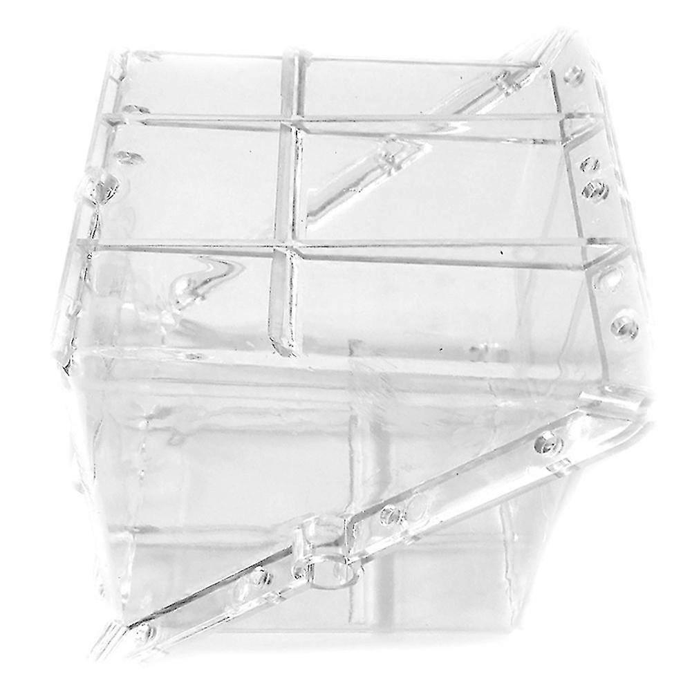 Vattenmelonformning växer mögeltillväxt som bildar mögelfruktformande mögelgrönsak