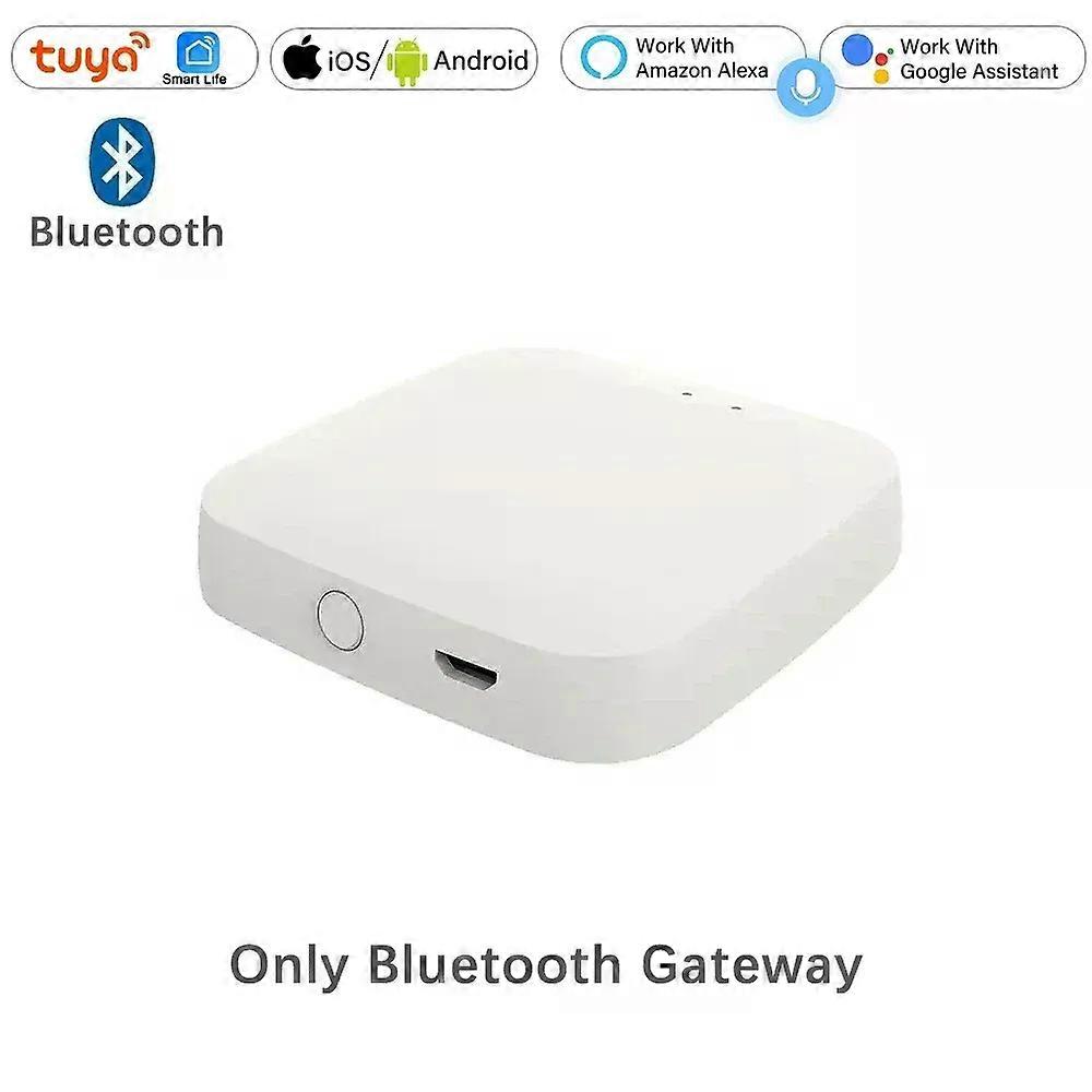 Smart 2-Way Outlets Water Timer Irrigation Valve Controller Rain Delay Sensor Bluetooth Wireless Remote Control Garden Sprinkler