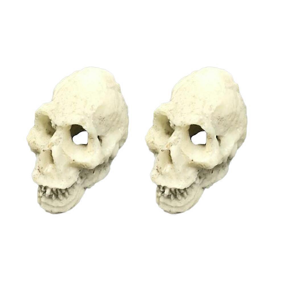 Mini Realistic Human Skull Decor for Aquarium, Reptile, Lizard, and Vivarium Use – Random Style