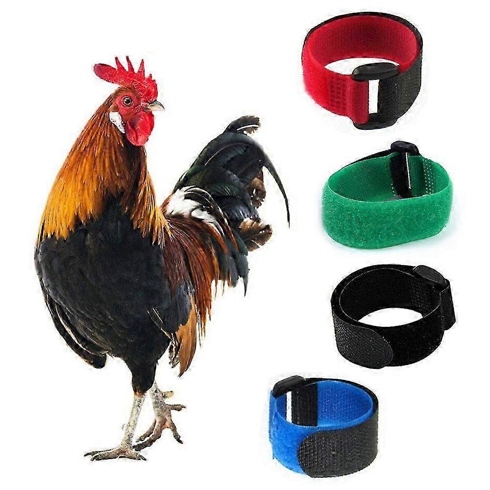 Anti-Crowing Rooster Collars: 8-Pack Adjustable Nylon Noise Reduction Collars (PrettyJ)