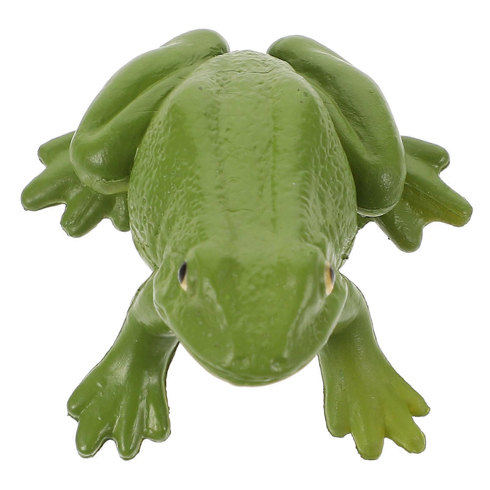 Kid Toy Figurine for Educational Teaching Prop 5Pcs Plastic Frog Models