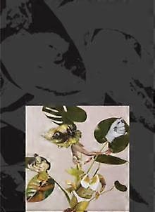 Kandis Williams A Surface Paperback