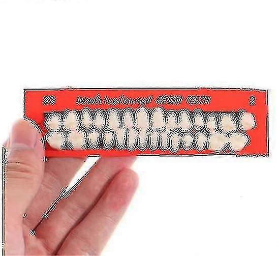 28pcs Set Universal Resi False Teeth Resin Teeth Model