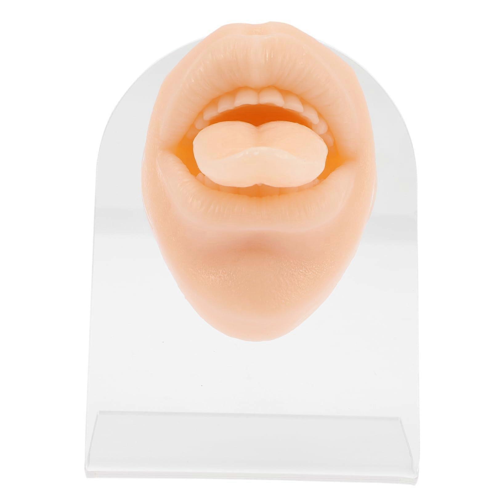 Tongue Piercing Training Model with Realistic Silicone Mold for Precision Practice and Display