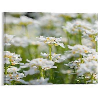 Weiße Blüten-Puzzles VV747