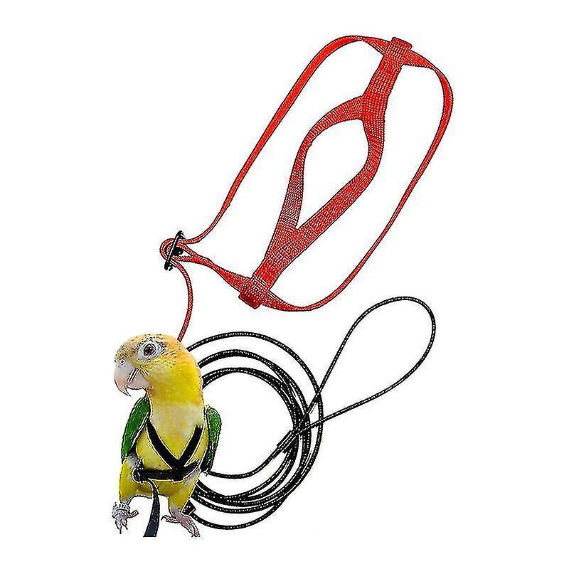 Hot-pet Bird Harness And Leash Adjustable Parrot Bird Harness Leash - Pet Anti-bite Training Rope Ou
