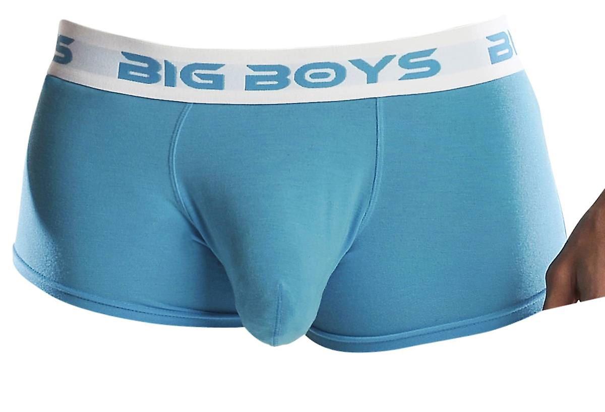 Big Boys Low Rise Briefs - Cyan Blue