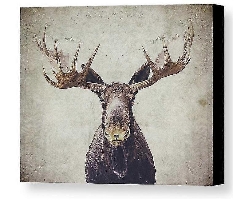 Diy Diamond Painting Lovely Animal Moose Diamond Embroidery Full Display Cross Stitch Diamond Mosaic Crafts Home Decor