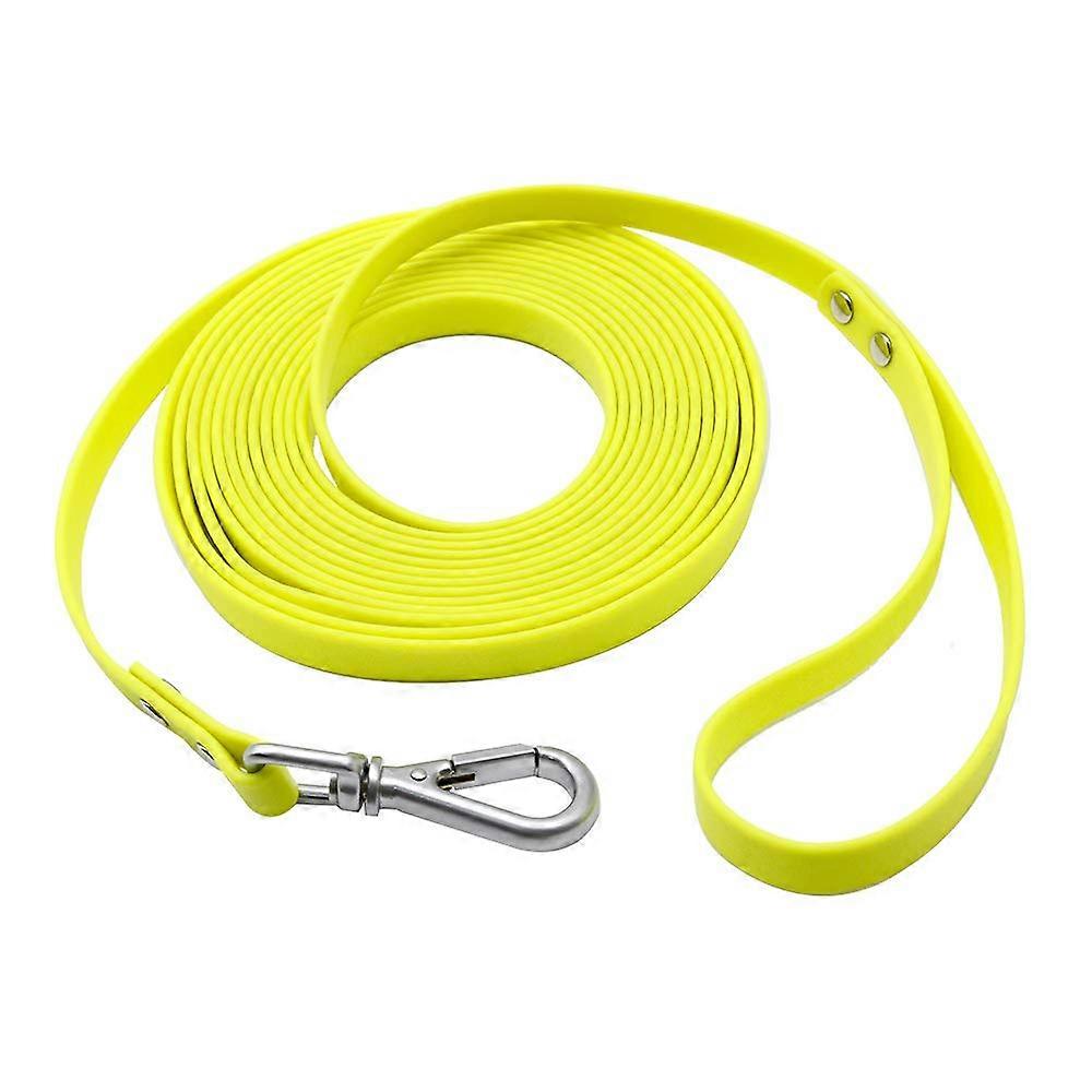 Dog leash, suitable for training and beach activities