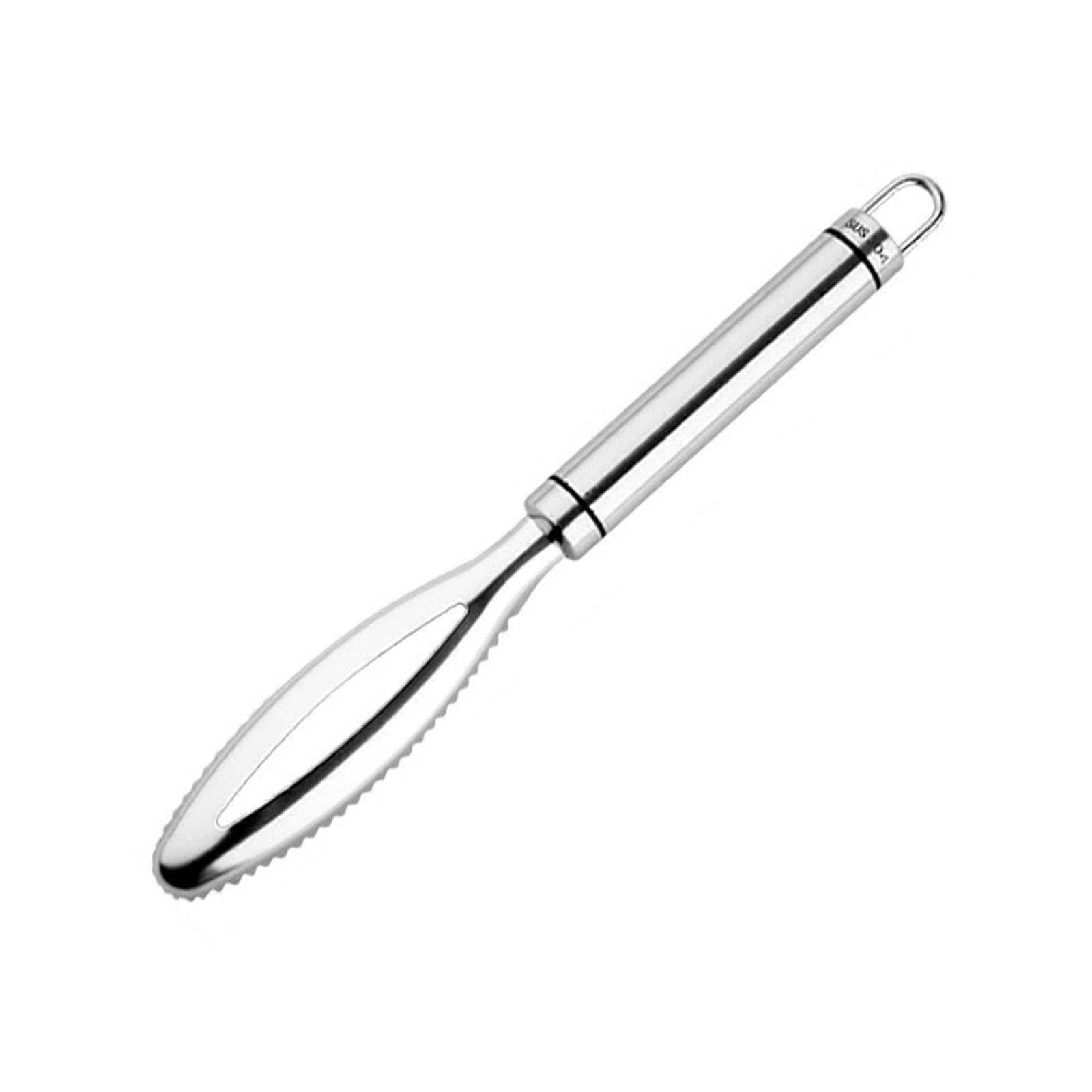 Efficient Fish Scale Scraping Metal for Scaler Fish Cleaning Tools Fish Skin Brush Scraping Scale Peeler Fish Scale Remo