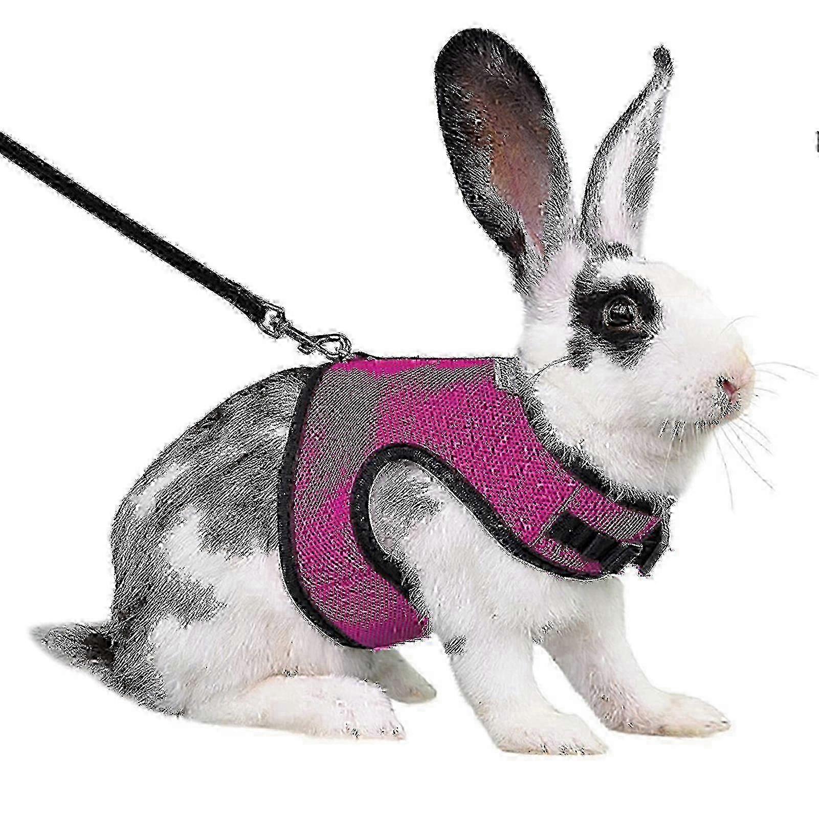 Rabbit Harness Comfortable Adjustable Traction Tool Ferret Rats Hamster Soft Mesh Harness Leash Vest Set Pet Supplies