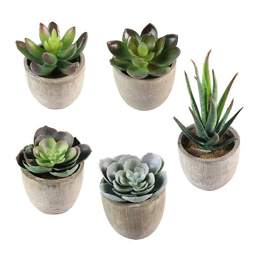 Artificial Succulent Plants 5Pcs Faux Succulent for Decor Use