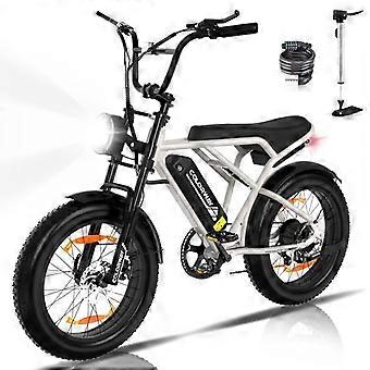 Bicicletta elettrica VAE - ColorWay - Nero e oro - Pneumatici Fat da 20" 4.0 - Batteria rimovibile 36V 12Ah - E-BIKE per tutti i terreni - Mountain bike elettrica