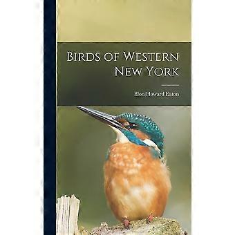 Birds of western new york